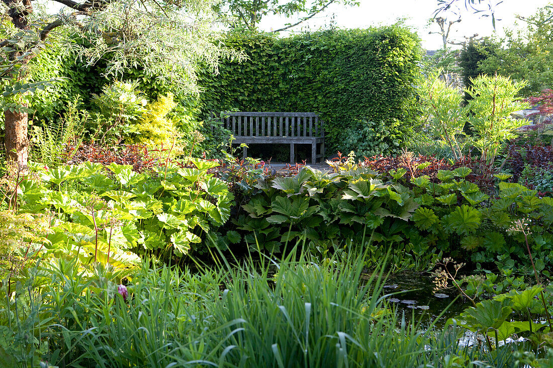 Verwitterte Gartenbank an sonniger Hecke in üppigem, idyllischem Garten mit Gartenteich