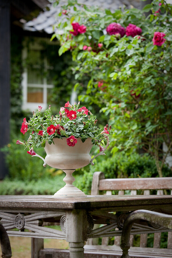 Mit Sommerblumen bepflanzter Kelch auf kunstvoll verziertem, altem Holztisch und Kletterrosen auf Terrasse vor idylischem Landhaus