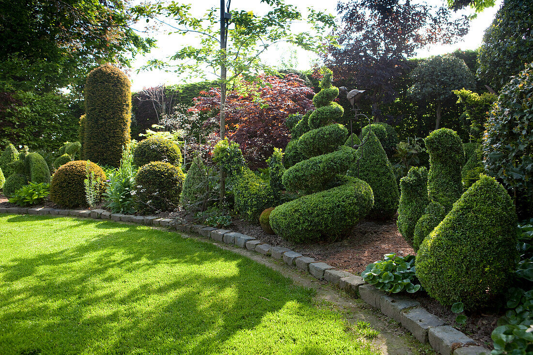 Gartenkunst mit geschnittenem Buxus in gepflegtem Garten in englischem Stil