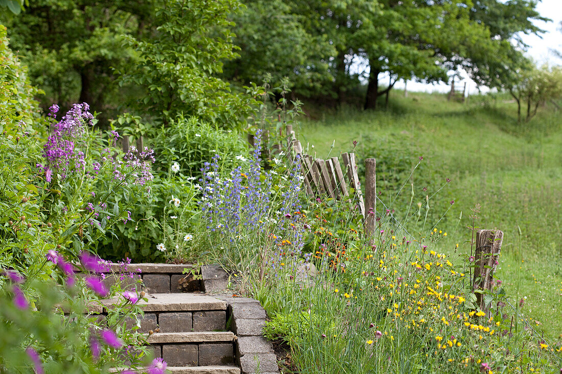 Steps in flowering garden in rural setting