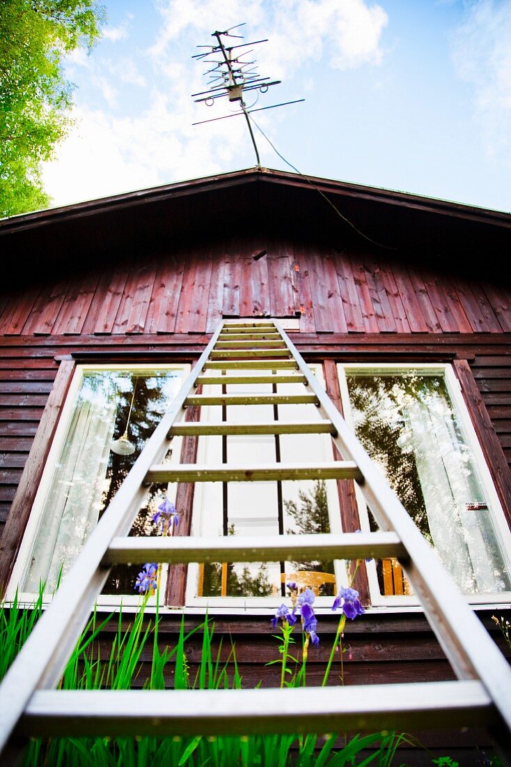 Ladder leading against Scandinavian wooden cabin