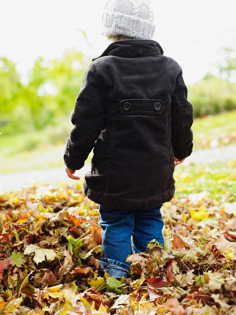 Young child wearing winter coat & woolly hat standing in pile of autumn leaves