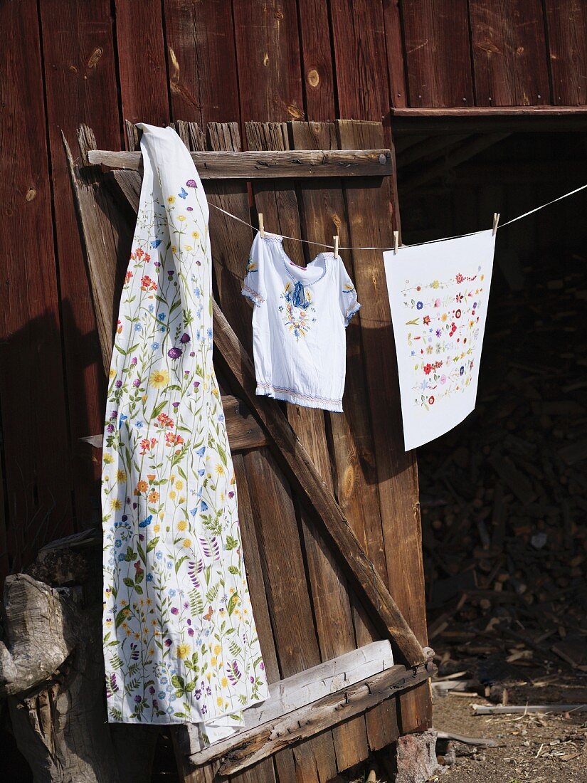 Laundry hanging on washing line attached to wooden shed door