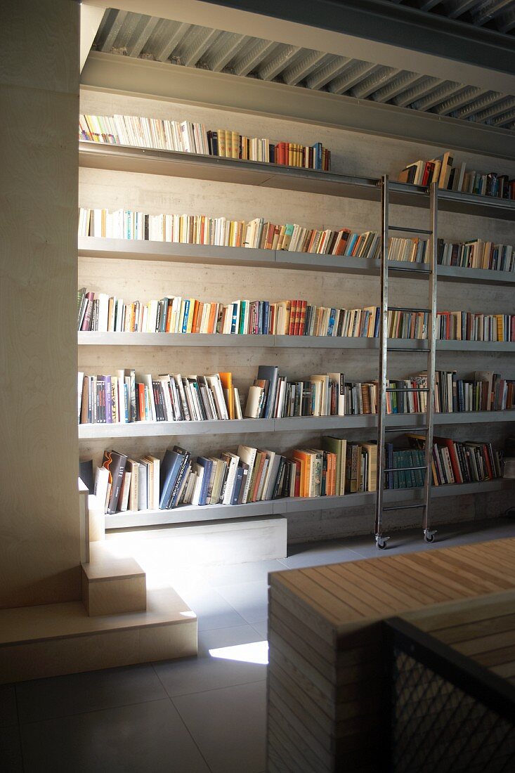 Minimalist bookcase with metal library ladder lit from one side