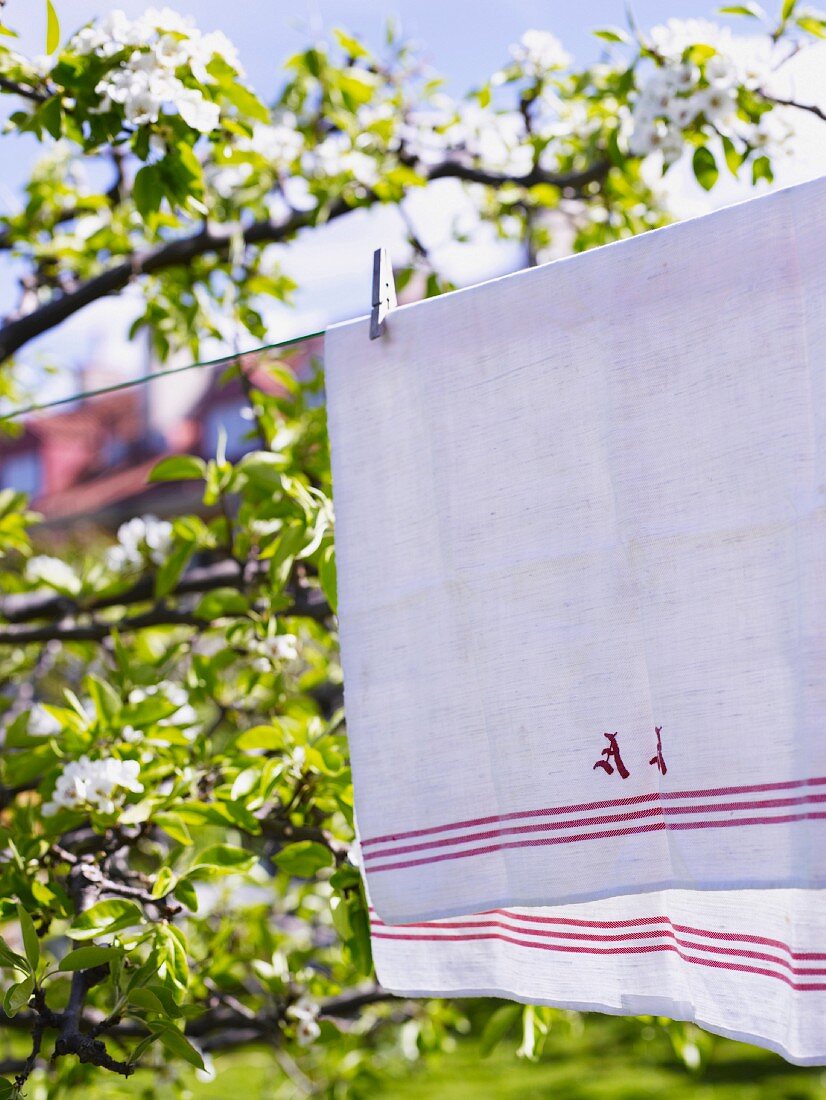Wäscheleine mit daran hängendem, weissen Handtuch mit Stickerei