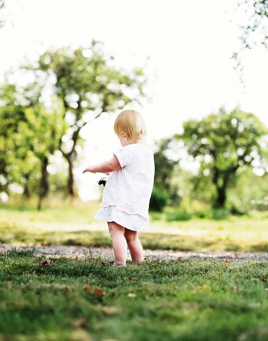 Toddler playing in meadow