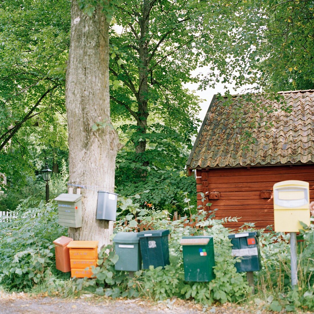 Collection of letter boxes in front of log cabin
