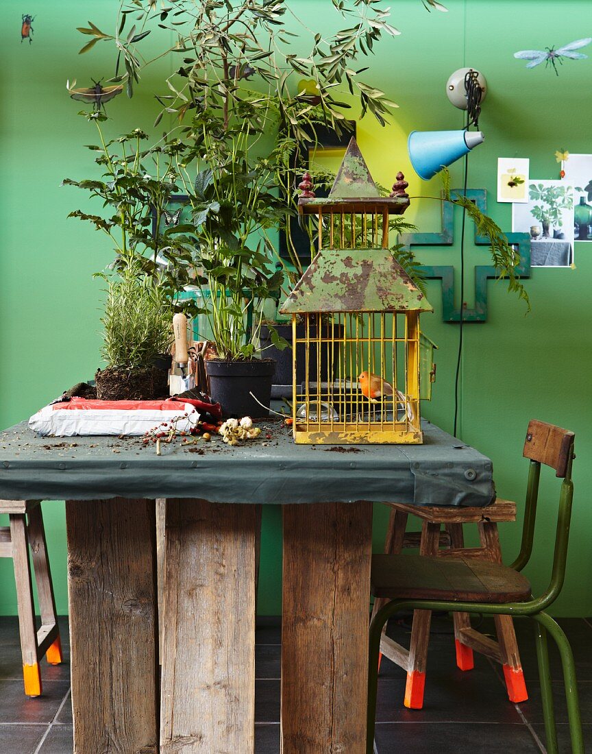 Rustikaler Tisch mit großen Topfpflanzen und rostigem Vogelkäfig vor grüner Wand