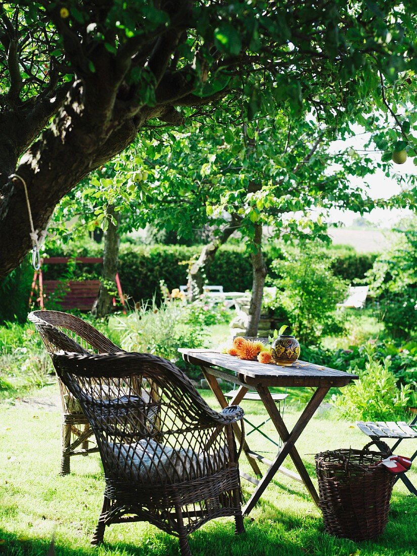 Seating area with wicker chair & small table beneath shady tree in garden