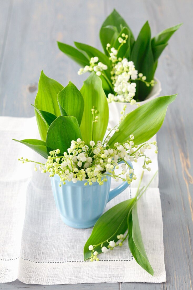 Lily of the valley in ceramic mugs on linen cloth