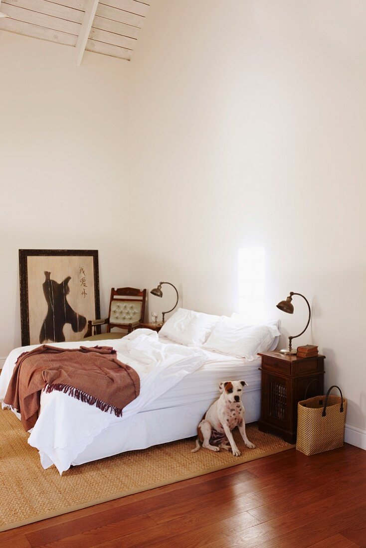 Corner of minimalist bedroom - dog sitting on sisal rug in front of double bed with white bed linen, retro table lamp on bedside table, picture on floor leaning against wall