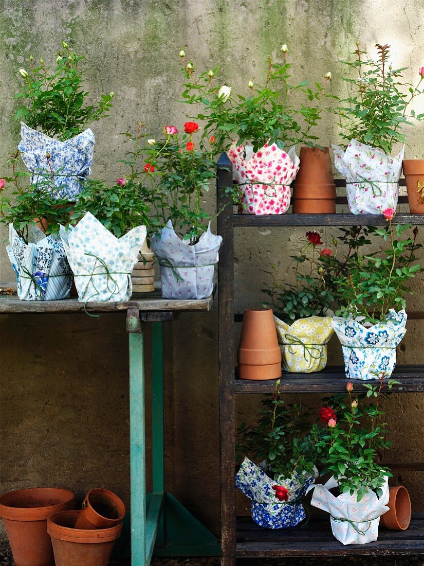 Flowerpots decoratively wrapped in patterned fabrics