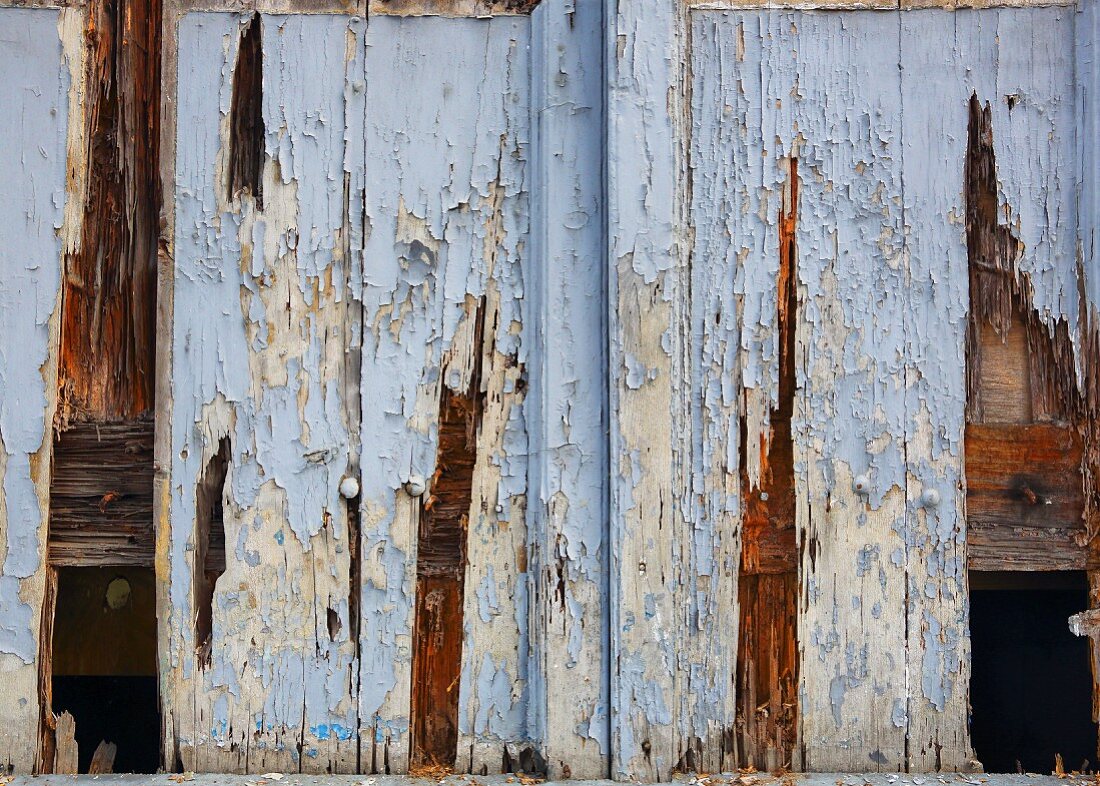 Weathered wooden door with peeling blue paint (detail)