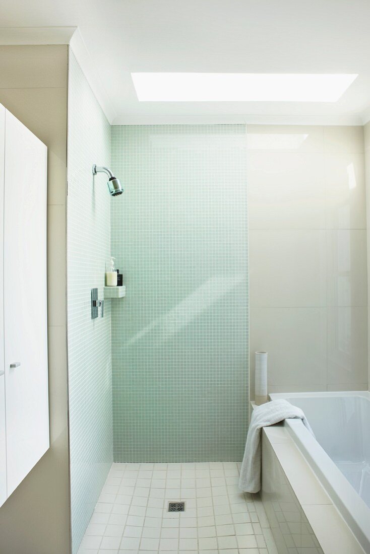 Modern bathroom with floor-level shower next to bathtub and skylight in ceiling