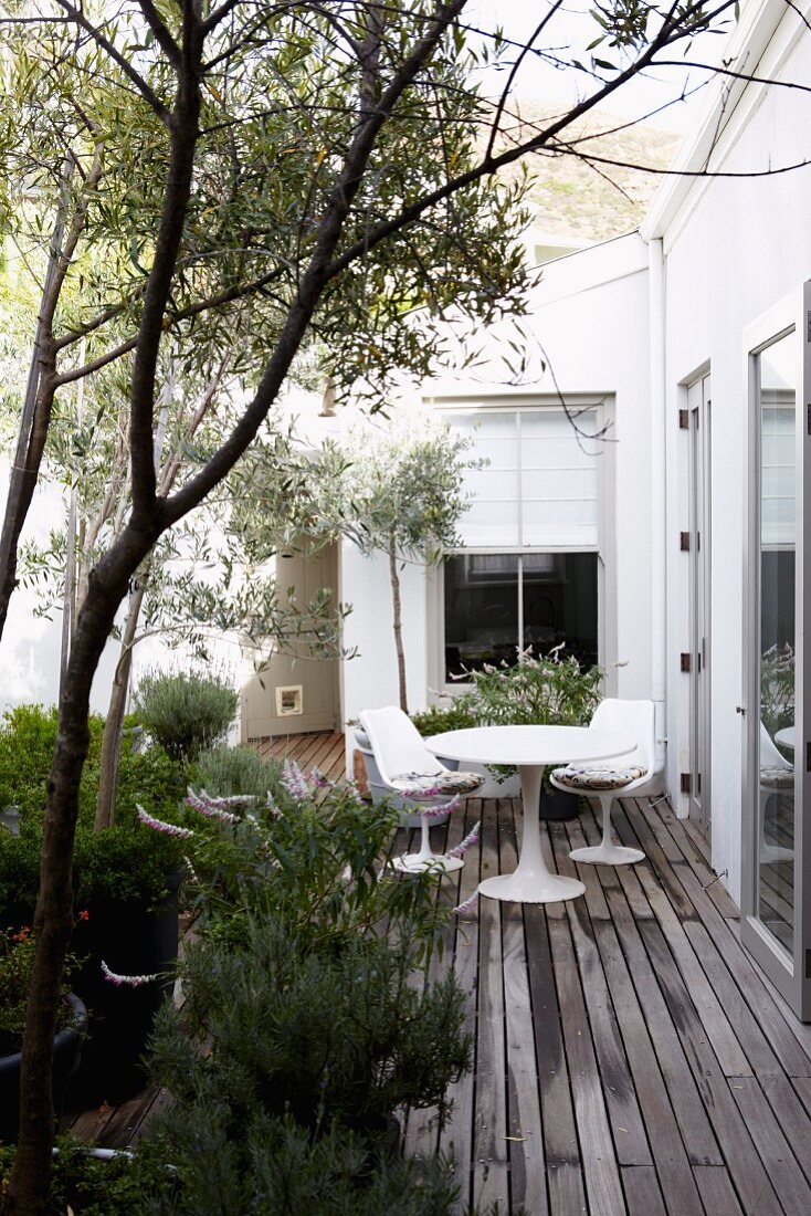 White table and chairs and Mediterranean plants in large containers on wooden terrace