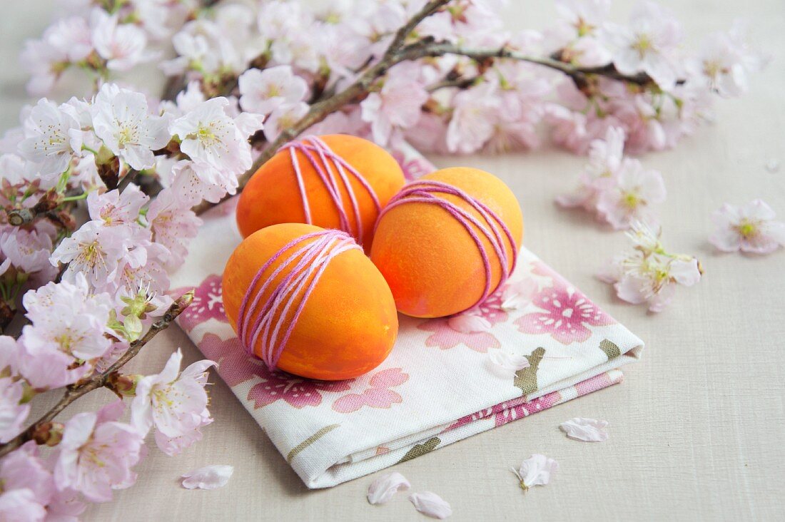 Kirschblütenzweige & gefärbte Eier mit Garn umwickelt