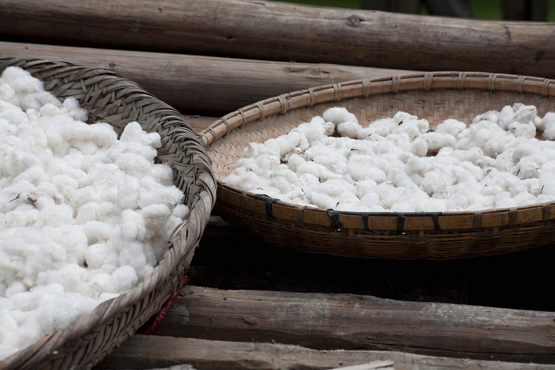 Cotton fibre drying in baskets