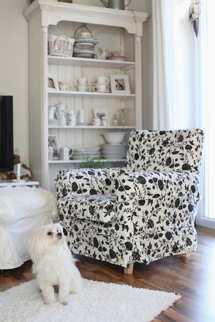 Landhausregal mit Geschirr und Deko, davor ein Sessel mit schwarzweisser, floraler Musterung und Hund auf Langflorteppich