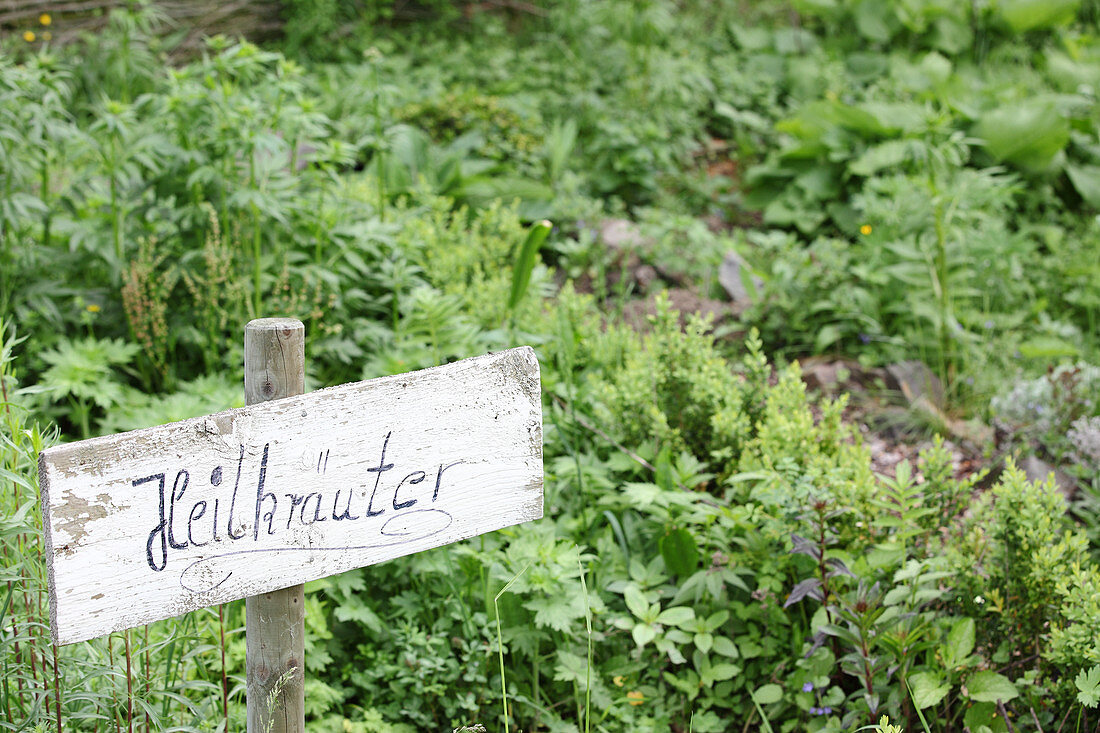 Hand-written sign reading 'Heilkräuter' (medicinal herbs) in herb garden