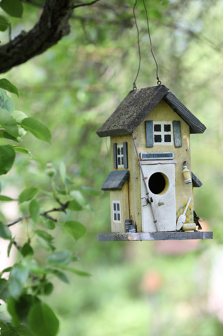 Bird nesting box hung from tree