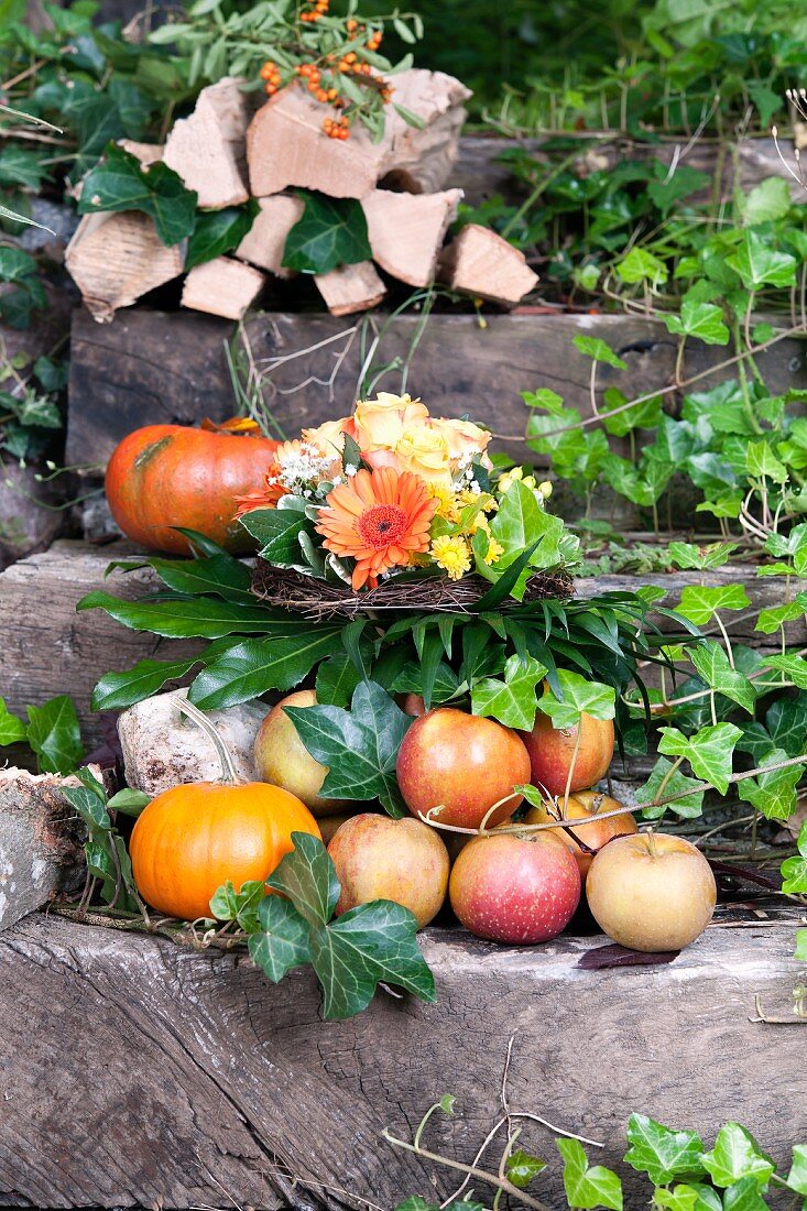 Äpfel, Kürbisse und Holz auf Gartentreppe