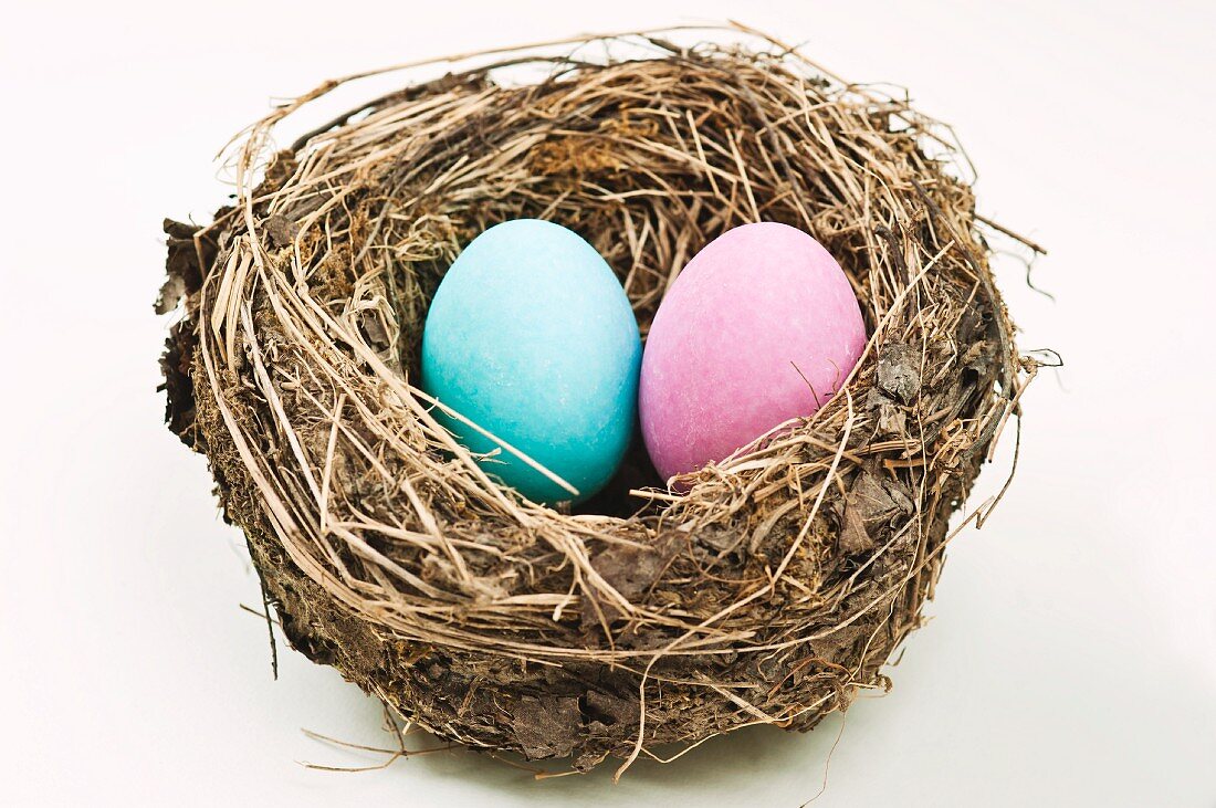A pink and a blue egg in an empty nest on a white background