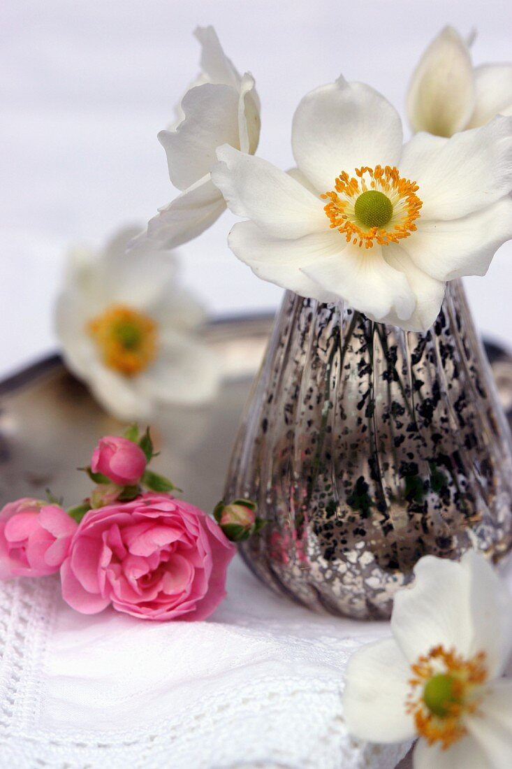 Anemones in mercury glass vase next to pink roses