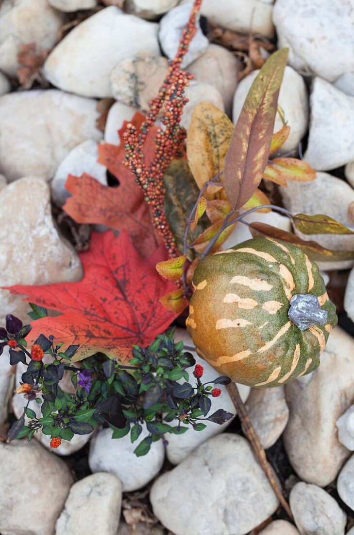 Herbststillleben mit Blättern und Zierkürbis auf Steinen