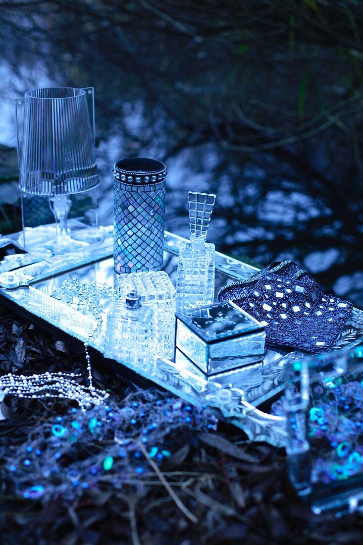 Verschiedene Glasgefässe und Lampenschirm auf Silbertablett neben Perlenschmuck in bläulichem Licht auf dem Waldboden