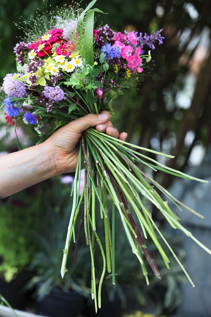 Colourful summer bouquet in florist's hand before trimming stems