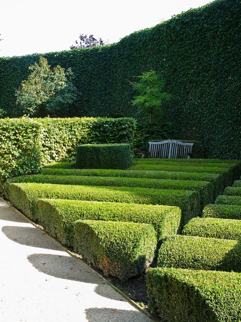 Topiary hedges & box bushes in garden complex