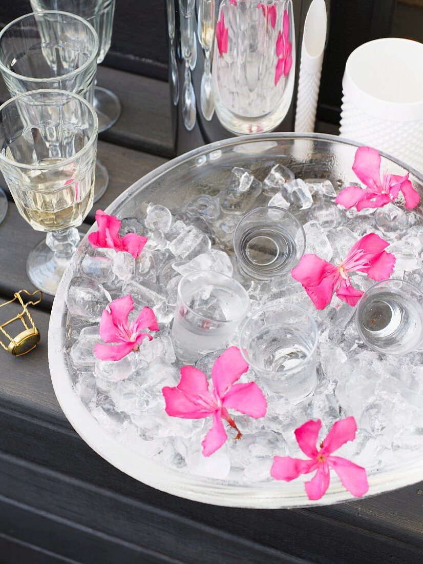 Glasschale mit Wodkagläsern, Eiswürfeln und violetten Blüten