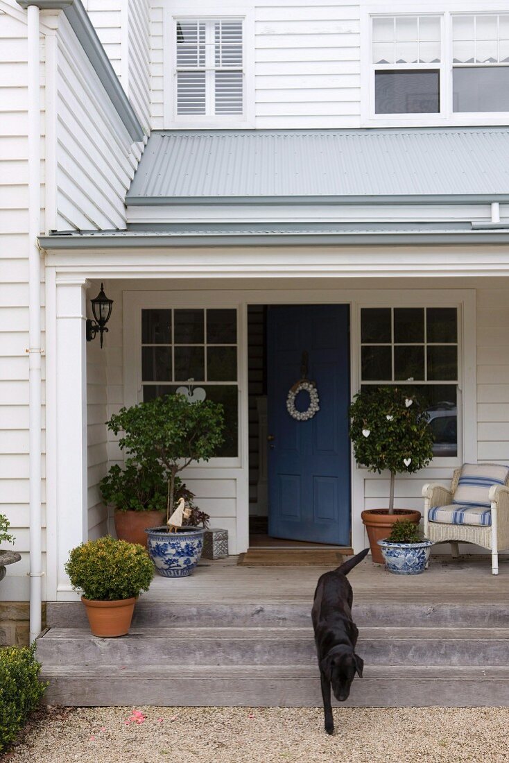 Elegant entrance area with Labrador of a white wooden house