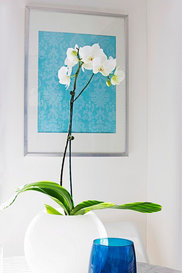 weiße Orchidee in Kugelvase vor Wand mit gerahmtem Stoffmuster
