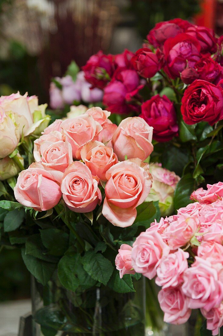 Bouquets of roses in a variety of colors