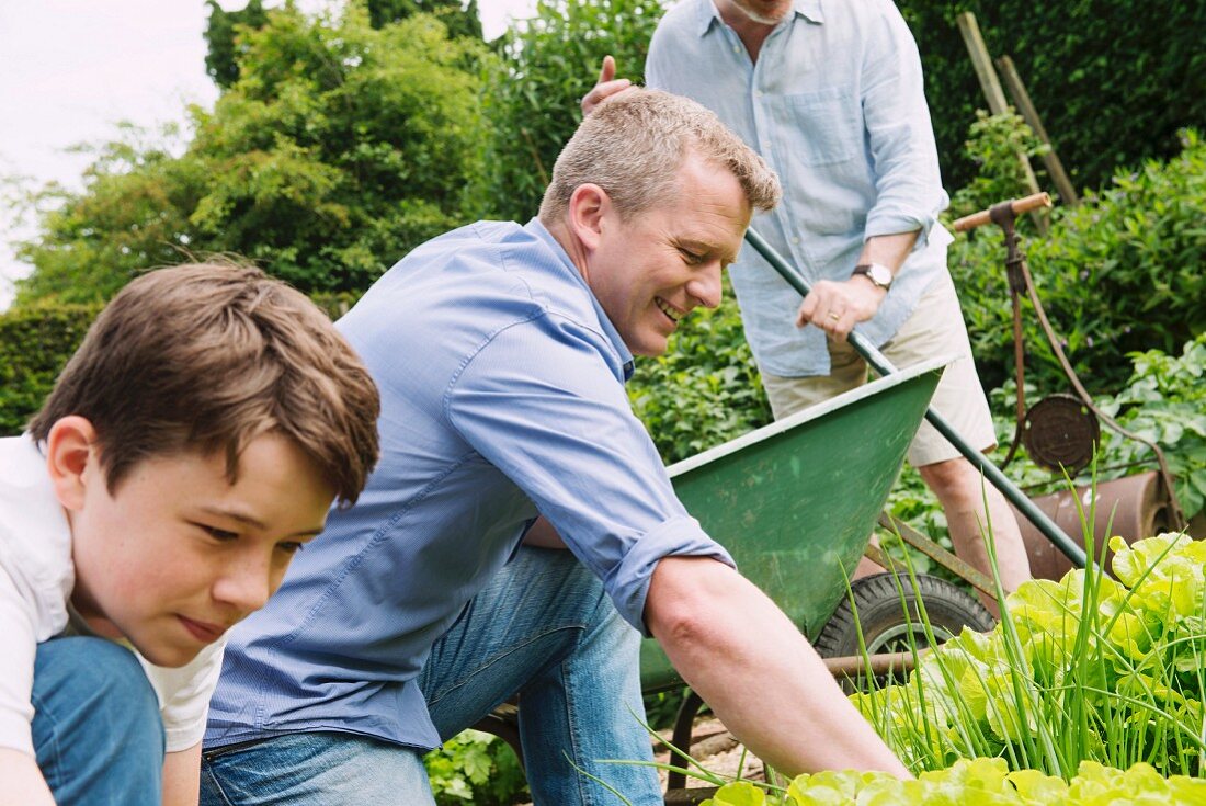Grossvater, Vater & Sohn bei der Gartenarbeit