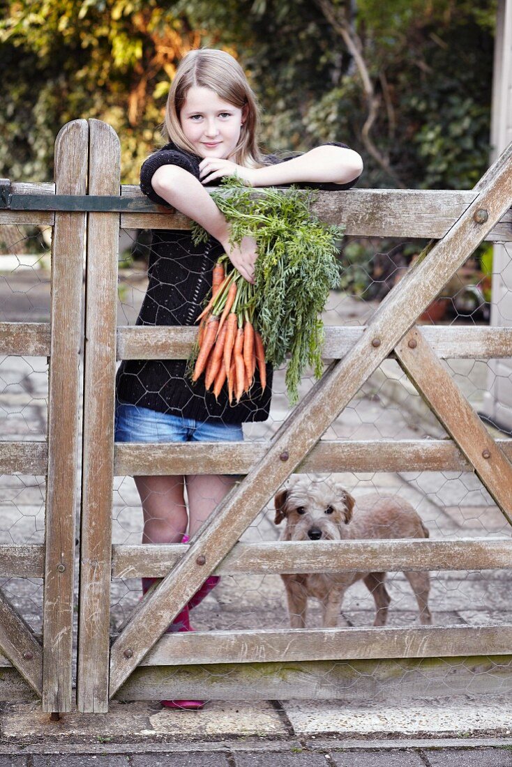 Mädchen steht mit Bund Karotten und Hund an Holzgatter