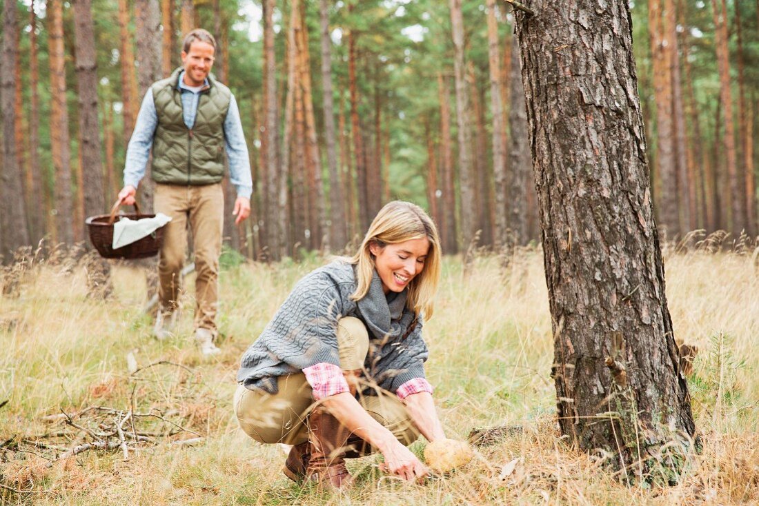 A couple hunting for mushrooms in the forest