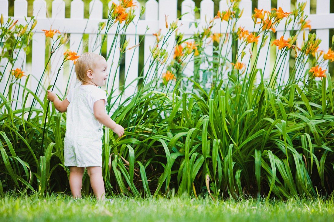 Kleines Mädchen erkundet die Blumen im Garten
