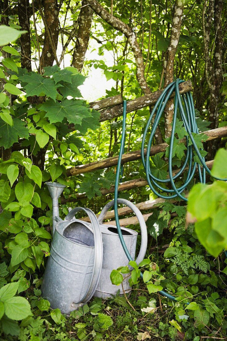 Watering cans and hose in garden