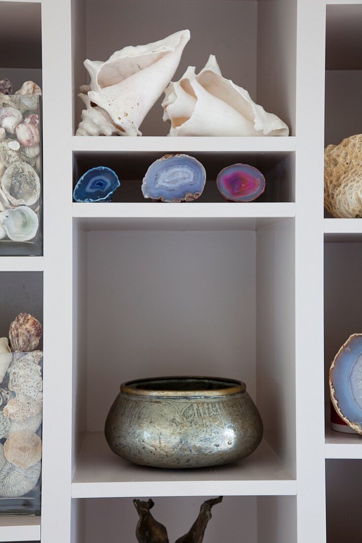 Seashells, geodes and artistic bowl on white shelves