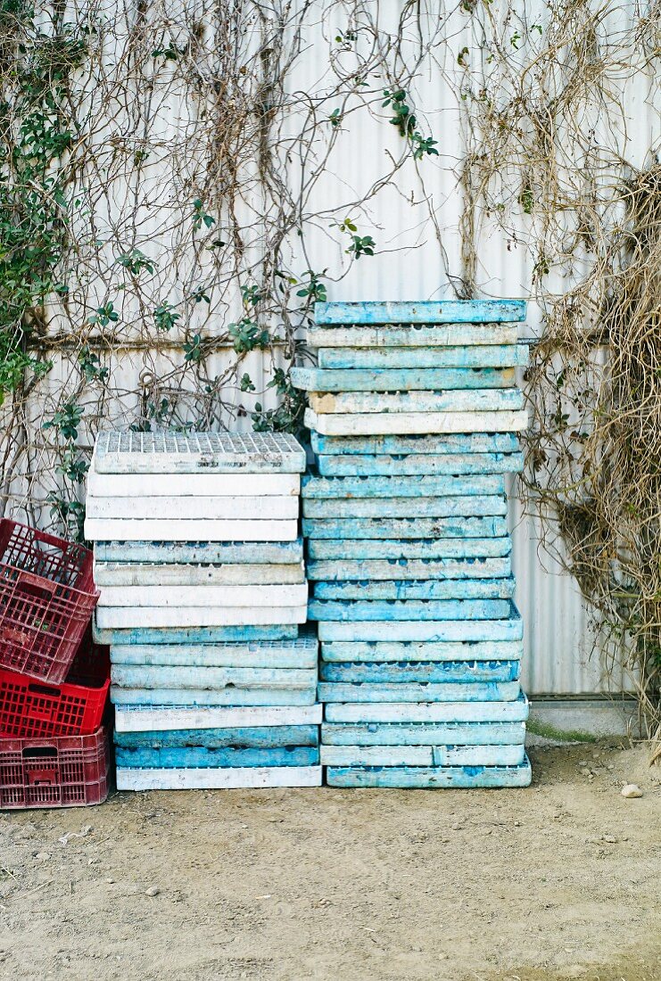 Stacked gratings in front of climber-covered corrugated metal shed