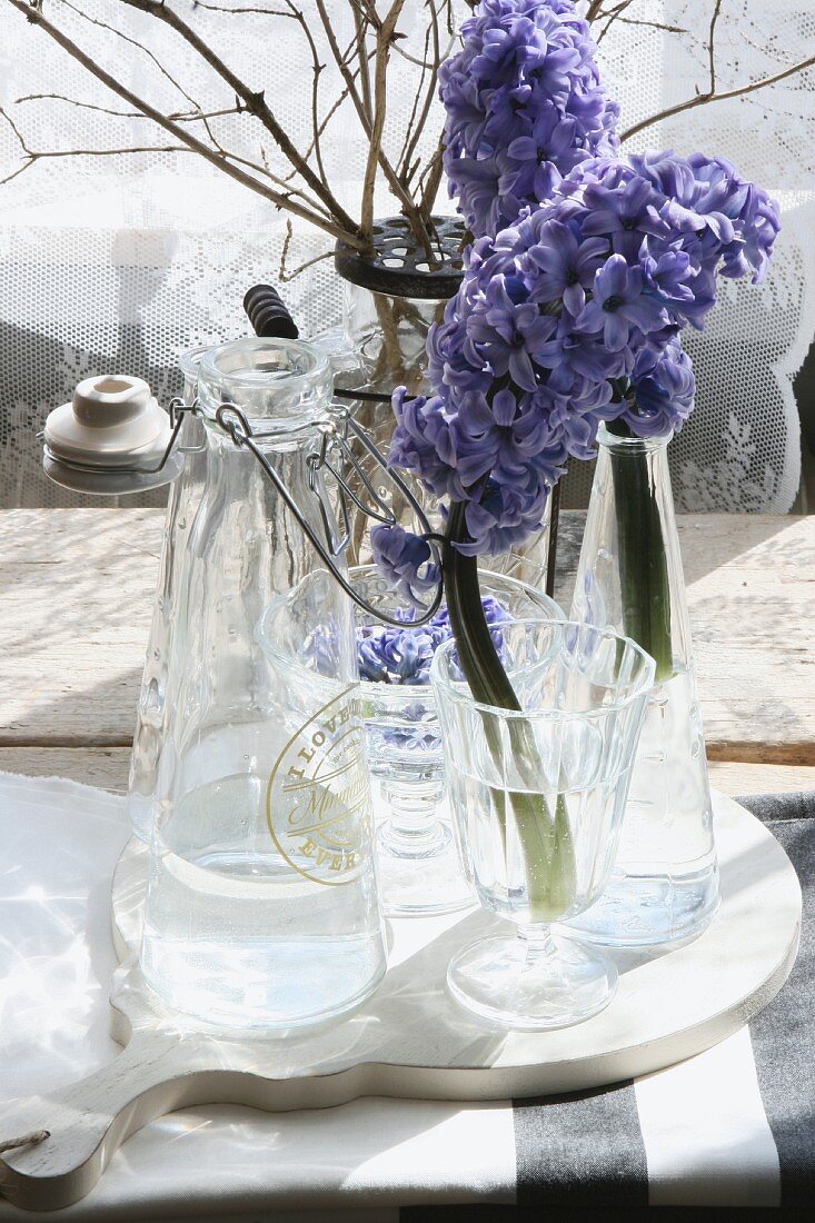 Blaue Hyazinthen in Glasvase auf weißem Holzbrett auf rustikalem Tisch