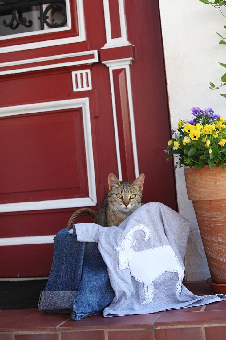 Cat lying in basket amongst clothing & hand-sewn T-shirt outside front door