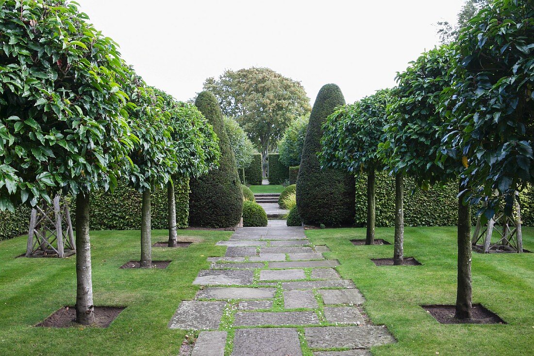 Baumreihen neben gepflastertem Weg und formgeschnittene Buchsbäume in englischem Garten