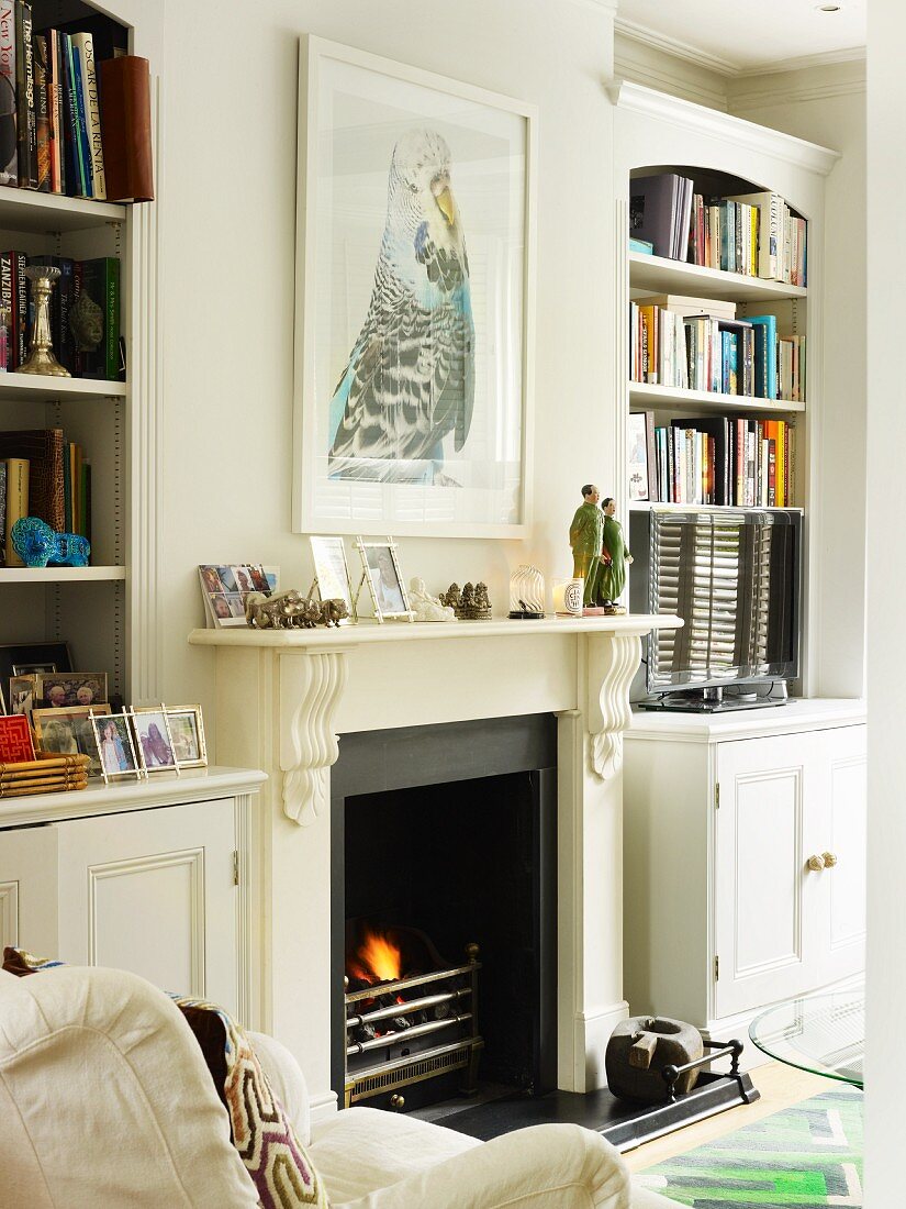 Artistic photo of budgerigar above open fireplace flanked by bookcases