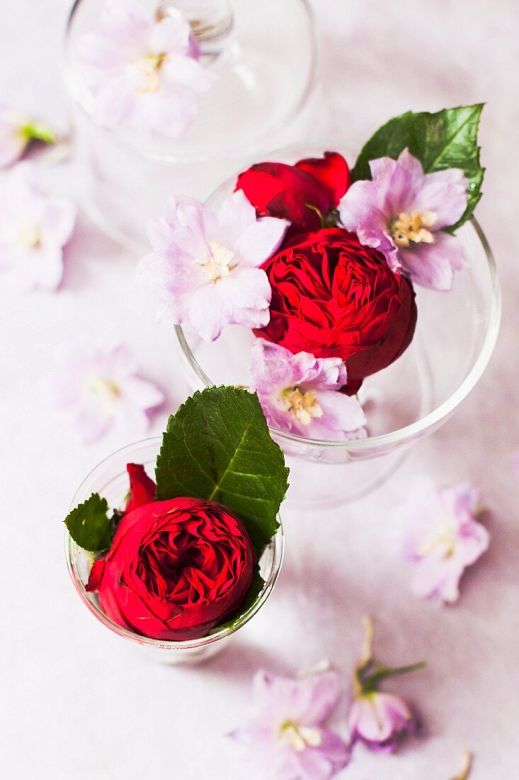 Lila Blüten und rote Rosen in Glasschalen