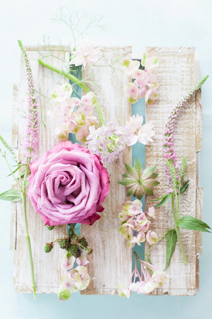 Arrangement aus verschiedenen weissen und lila Blumen