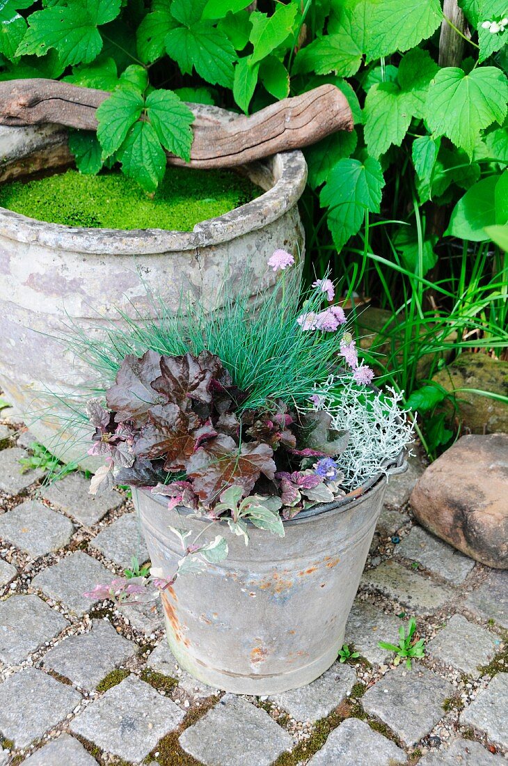 Miniature pond in old terracotta pot & autumn plant arrangement in zinc bucket