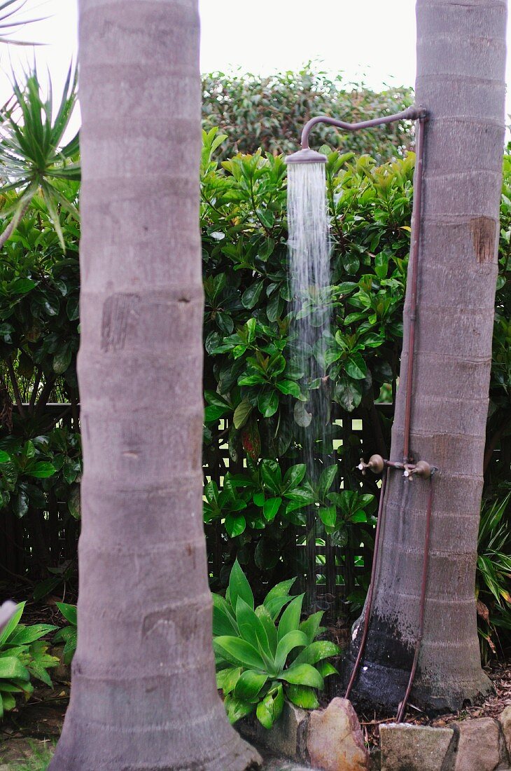 Vintage-style shower attached to palm tree trunk in front of hedge grown over fence in summer garden